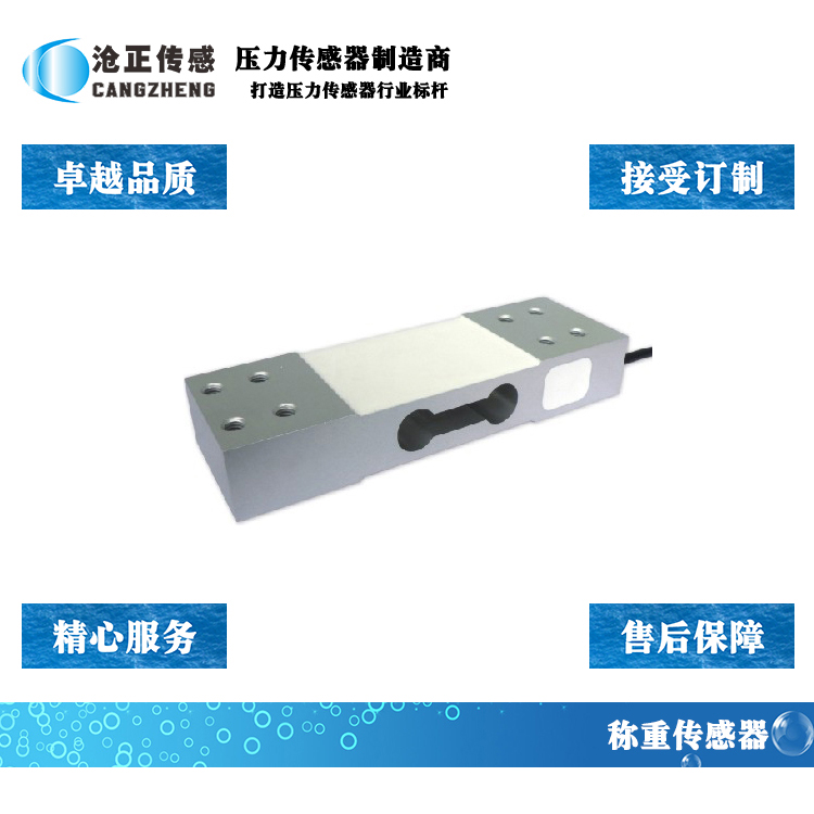 滄正稱重傳感器CAZF-W186