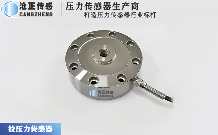 滄正力傳感器CAZF-LY88